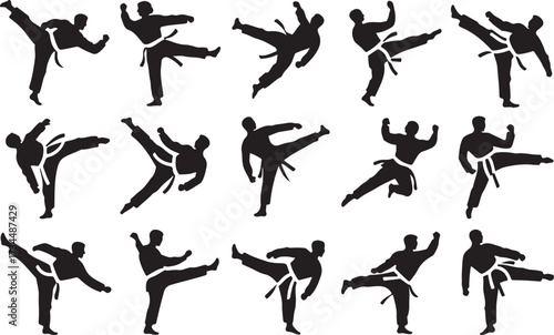 Taekwondo kick silhouette vector on white background