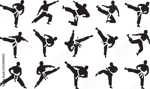 Taekwondo kick silhouette vector on white background