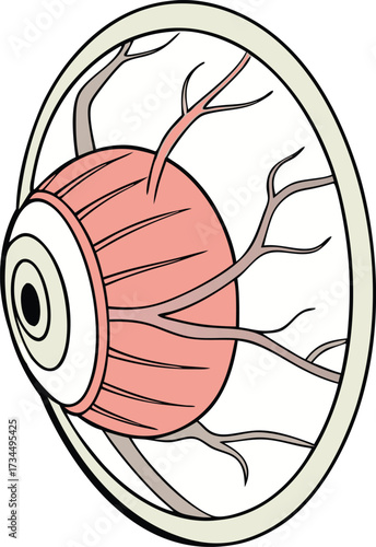 Intricate eye anatomy with detailed vasculature, showcasing the complexity of human vision in a modern, educational style ideal for medical purposes