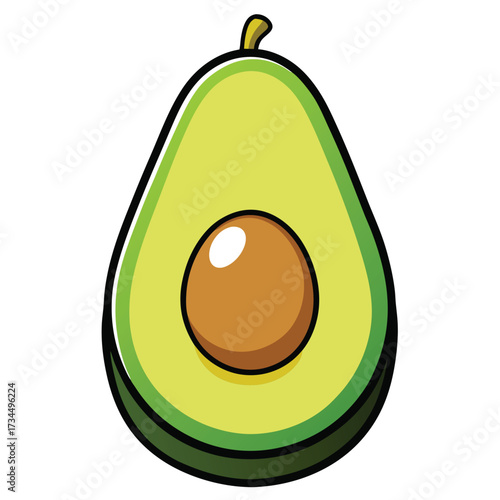 Avocado isolated on white stock Vector illustration
