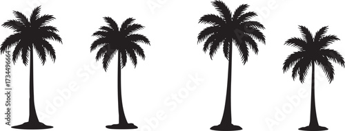 Trendy Tropical Palm Tree Silhouette Set