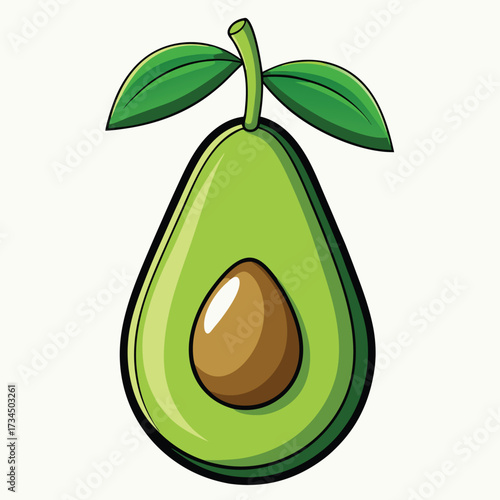 Avocado isolated on white stock Vector illustration