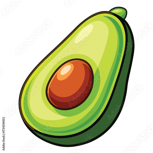 Avocado isolated on white stock Vector illustration