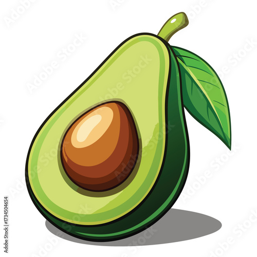 Avocado isolated on white stock Vector illustration