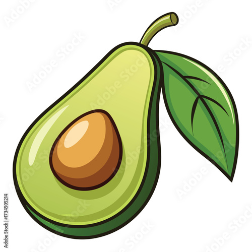 Avocado isolated on white stock Vector illustration