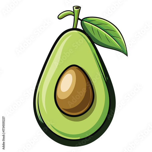 Avocado isolated on white stock Vector illustration