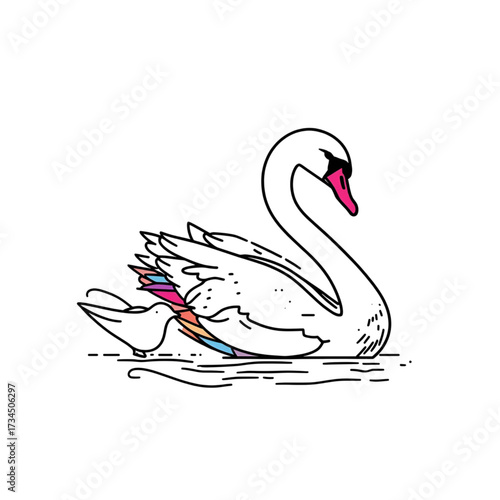 swan on the water