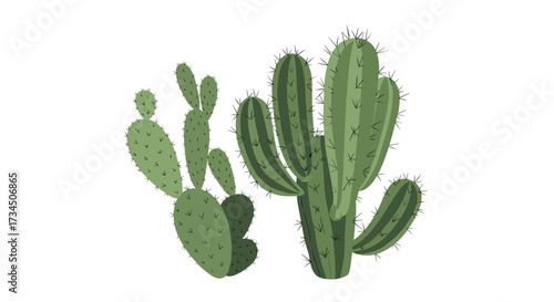 A graphic representation of two different types of desert plants with sharp needles.