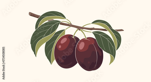 Two ripe cherries hanging from a branch with green leaves.