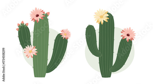 Two tall green cacti with soft pink and yellow blossoms stand against a pale green background
