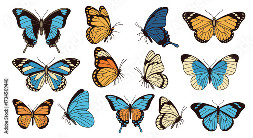 A vibrant collection of diverse butterfly species showcasing intricate wing patterns and colors.