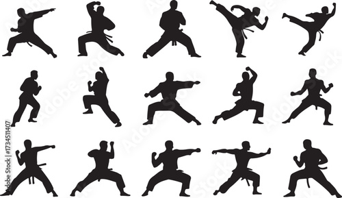 Karate kick silhouette vector on white background