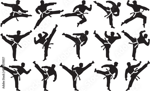 Taekwondo kick silhouette vector on white background