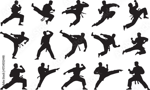 Karate kick silhouette vector on white background
