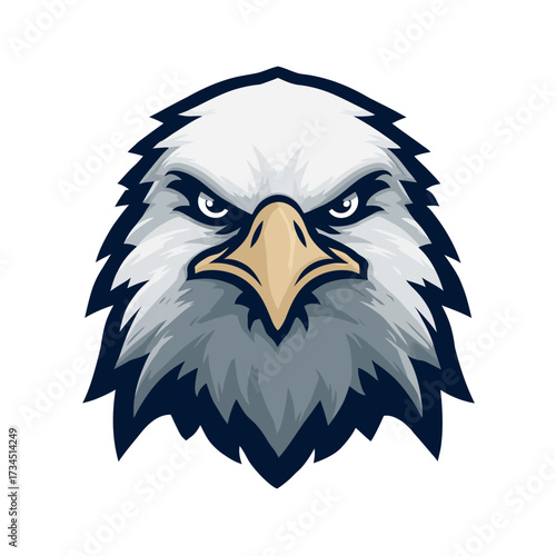 Fierce eagle head, front-facing, with sharp stare, dark outline, textured plumage, and tan beak