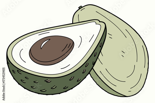 An Avocado in Half with Seed Close up View and Clean Style