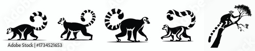 vector black and white silhouette of a lemur
