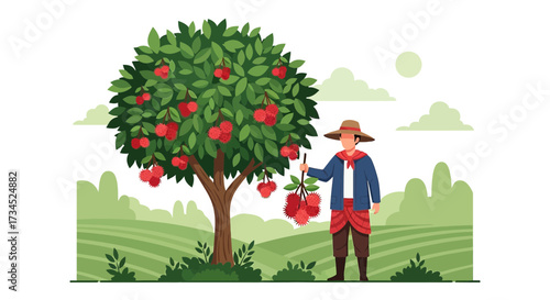 Farmer harvesting fresh rambutan fruits from the orchard on a sunny day illustration
