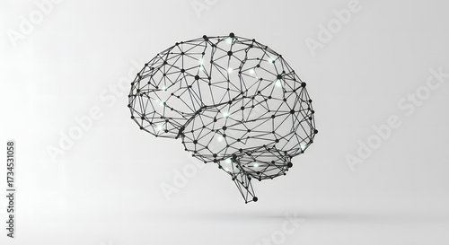 human brain model
