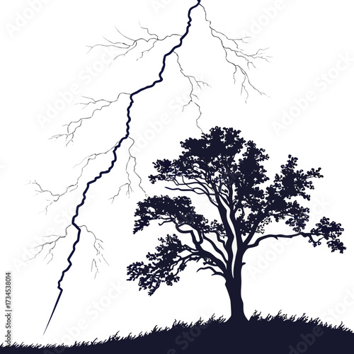 Silhouette of a tree struck by lightning on a white background