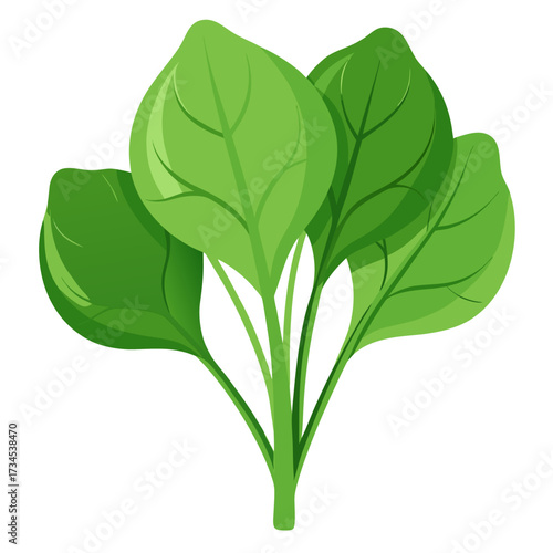 Fresh vibrant spinach leaves, ready for a healthy salad or smoothie, brings a natural, organic feel, perfect for food blogs, recipe sites, or health and wellness promotions