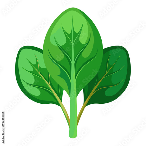 Fresh spinach leaves, a vibrant touch to your healthy recipes, perfect for salads and smoothies, promoting wellness and mindful eating, a modern staple for balanced nutrition