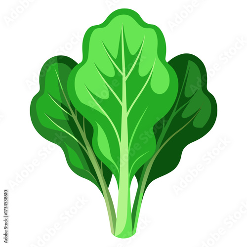 Fresh spinach bunch illustration, vibrant greens for healthy recipes, raw food diet, and vegetarian meal plans, perfect for culinary blogs and nutritional guides, promoting wellness