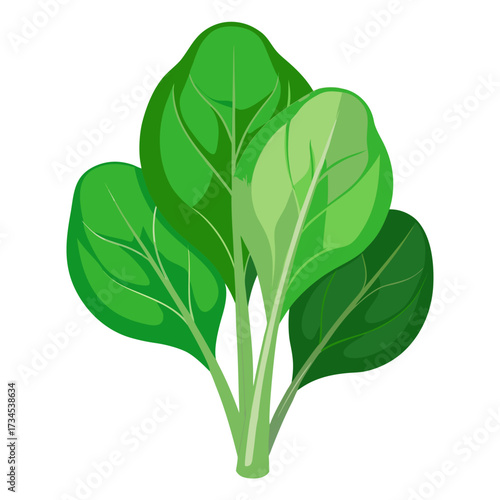 Fresh vibrant spinach bunch, visually appealing for healthy eating campaigns, showcasing natural greens for vegan recipes, a modern, eye-catching ingredient for culinary projects
