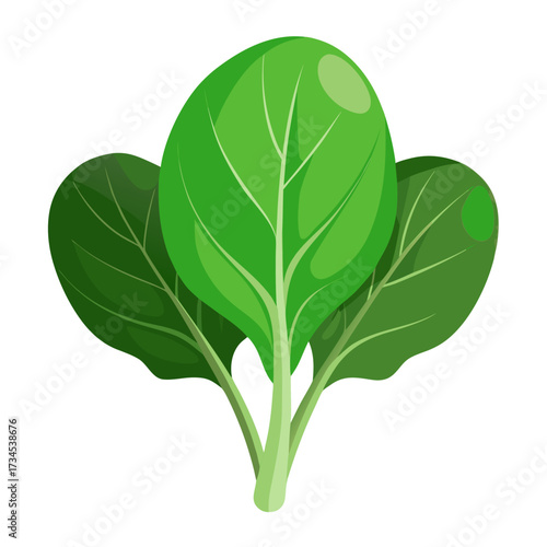Fresh spinach leaves in vibrant green, a healthy and nutritious ingredient for salads, smoothies, or side dishes, a symbol of wellness and organic food choices