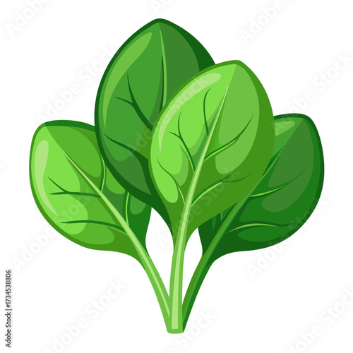 Fresh spinach bundle illustration, vibrant green leaves for healthy eating designs, perfect for recipe blogs, nutrition guides, and organic food promotions, adding a touch of nature