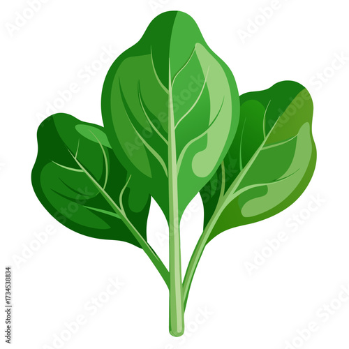Fresh spinach leaves offer a vibrant touch for healthy recipes and culinary creations, promoting wellness and nutrition with its rich green color and leafy texture
