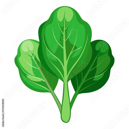 Vibrant green bok choy illustration, originally a scalable graphic, perfect for healthy recipes or food blog posts, conveying freshness and wellness, ideal for culinary projects