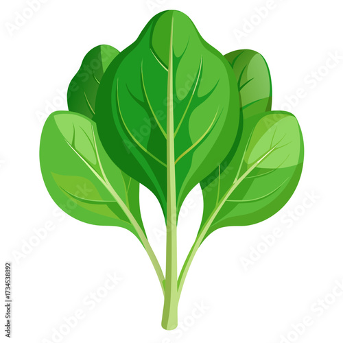 Fresh spinach bunch illustration for healthy eating concepts and vibrant salad ingredients, a natural and organic addition to your healthy lifestyle and nutritional designs