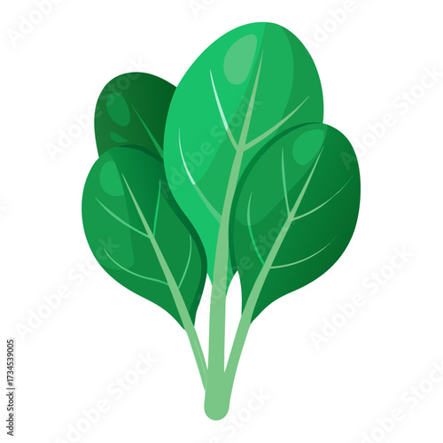 Fresh spinach leaves, a vibrant and healthy culinary ingredient for salads and cooking, adding a touch of green goodness to your healthy eating lifestyle and recipes
