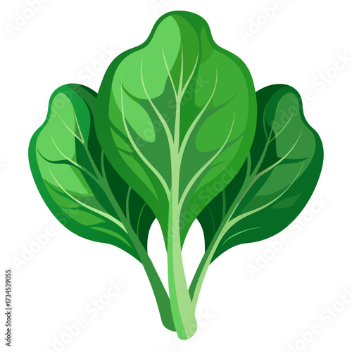 Fresh vibrant spinach leaves perfect for healthy cooking, a staple for salads and smoothies, promoting wellness and a balanced diet, a symbol of natural goodness and nutritious food
