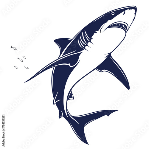 Aggressive great white shark leaping out of water with small fish