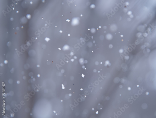 Wallpaper Mural Falling Snowflakes Close Up Soft Focus Bokeh winter Torontodigital.ca