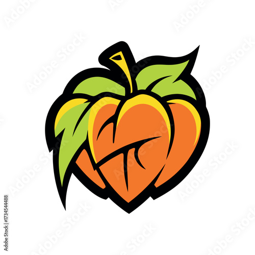 vector illustration of an orange fruit