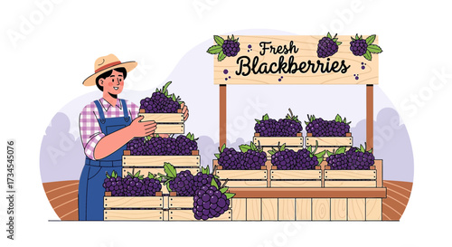 Farmer selling fresh blackberries at a wooden market stand, promoting local and organic produce