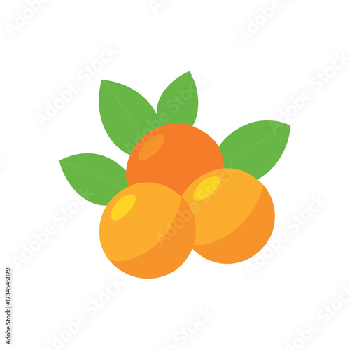 ripe apricots isolated on white