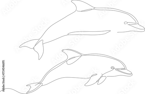 Simple Lineart Swimming Dolphin Mammal Animal Graphic Black and White Illustration