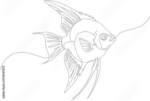 Simple Line Art Angelfish Tropical Aquarium Pet Fish Illustration