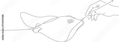 Simple Line Art of Stingray Fishing with Hand Drawn Style Illustration