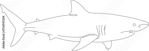 Simple Outline Illustration of Great White Shark in Side View Style