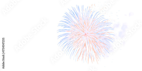 Festive Fireworks Spectacle: A vibrant display of fireworks bursting in the sky, painting a canvas of light and color against the night. capturing moments of celebration and joy. fireworks for diwali.
