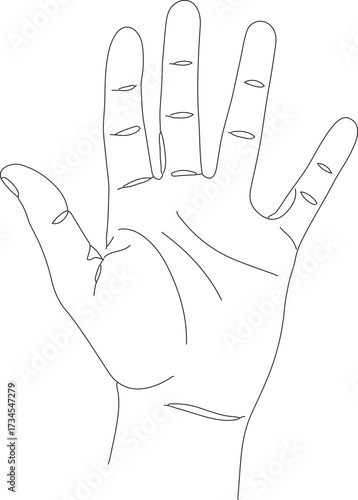 Simple Outline Dotted Line Hand Palm Gesture Anatomy Illustration