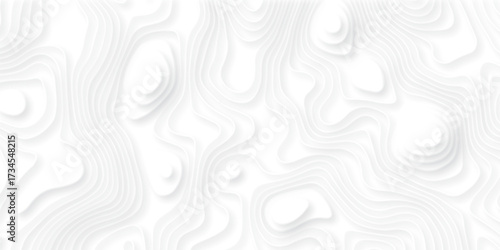 White and gray wave line circle abstract vector Topographic canyon geometric map texture. modern papercut style poster, banner design...