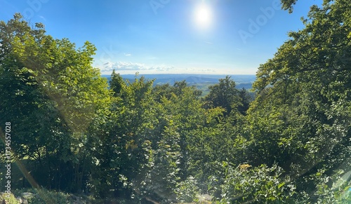 Haidstein 2025-09-06-1