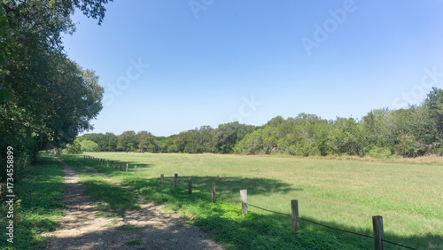 Peaceful Green Park under Blue Sky