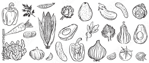 Hand drawn fresh vegetables banner. Bell pepper, corn, cauliflower, avocado, carrot, onion in vintage brush stroke texture isolated on white. Sketch illustration in charcoal ink style